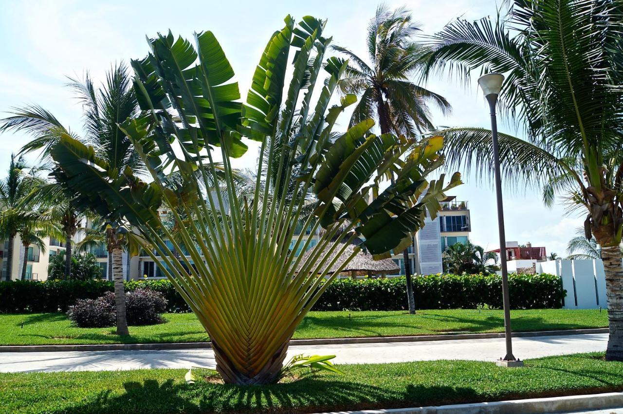 Apartmán Penthouse Con Jacuzzi En Acapulco Diamante Exteriér fotografie